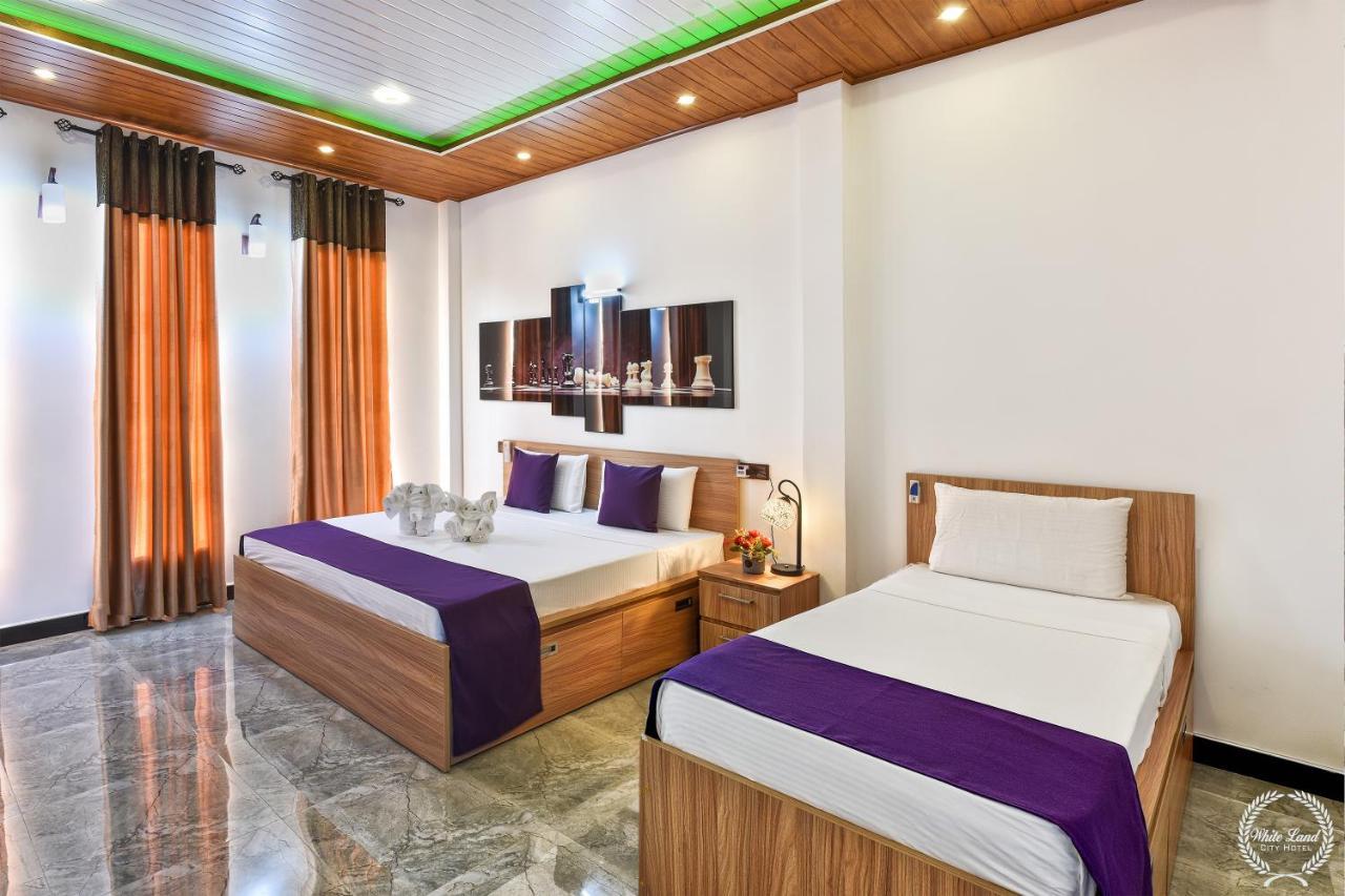White Land City Hotel Дамбулла Экстерьер фото