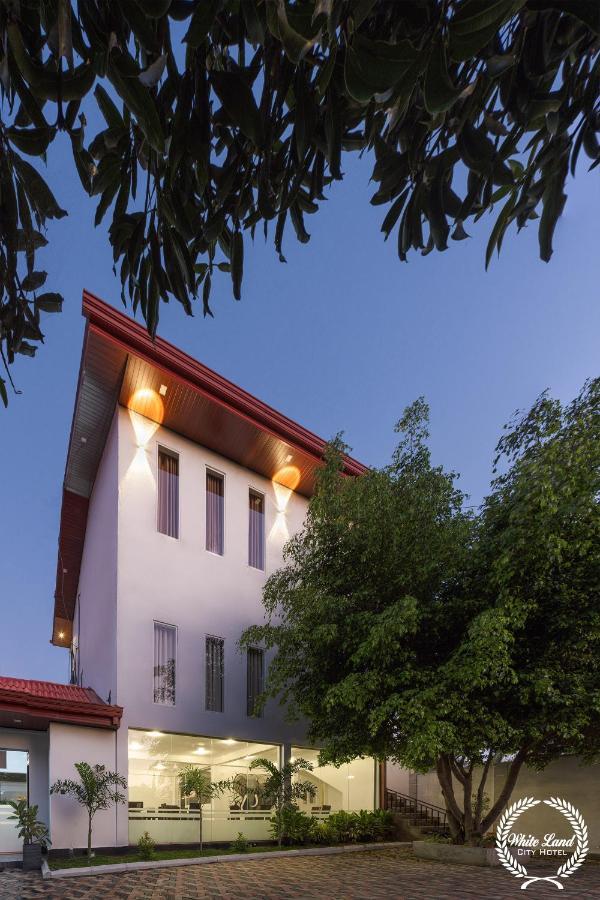 White Land City Hotel Дамбулла Экстерьер фото